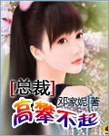 总裁,高攀不起