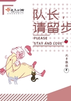 队长!请留步