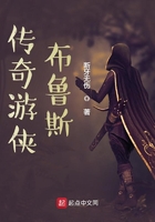 传奇游侠布鲁斯