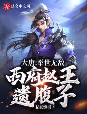 大唐:举世无敌,西府赵王遗腹子