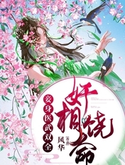 奸相饶命:妾身医武双全