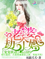 宠宠欲动:老婆,劫个婚