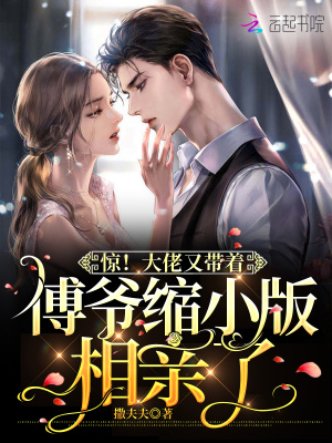 惊!大佬又带着傅爷缩小版相亲了