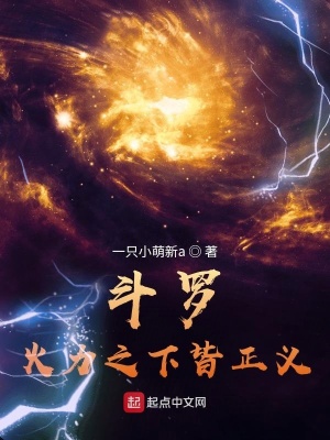 斗罗:火力之下皆正义
