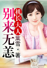 机长大人,别来无恙!