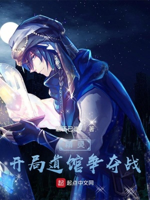 精灵:开局道馆争夺战