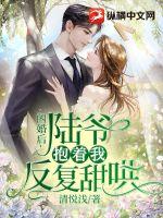 闪婚后,陆爷抱着我反复甜哄