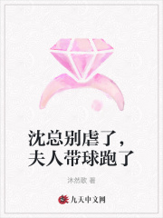 沈总别虐了,夫人带球跑了