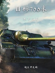 目标700米