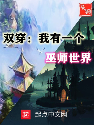 双穿:我有一个巫师世界
