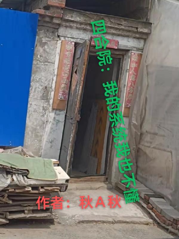 四合院:我的系统我也不懂
