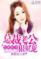 隐婚娇妻:总裁老公狠狠宠