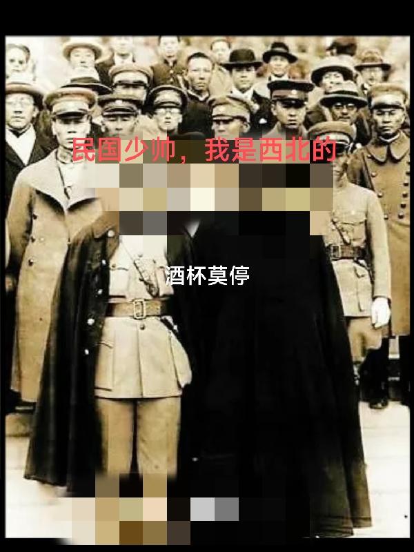 民国少帅,我是西北的