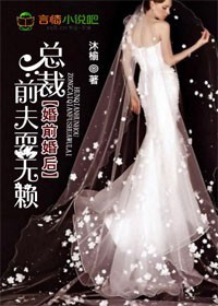 婚前婚后,总裁前夫耍无赖