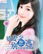 首席追爱到底:娇妻别想逃