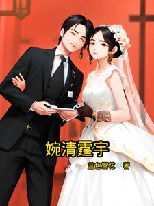 婉清霆宇