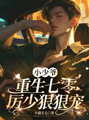 小少爷重生七零,厉少狠狠宠