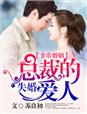 非常婚姻,总裁的失婚爱人