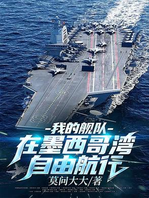 我的舰队,在墨西哥湾自由航行