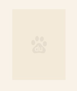 重生06:开局拯救倾城美女姐姐