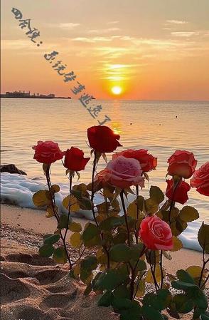 四合院:系统肇事逃逸了