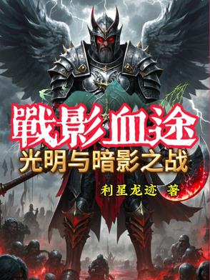 战影血途:光明与暗影之战