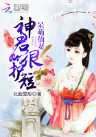 呆萌仙妻:神君很护短