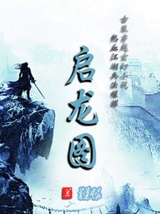 启龙图:我在敌国当皇夫摄政王