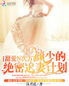 甜爱N次方:颜少的绝密追妻计划