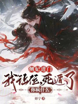 侧妃进门我让位,死遁了你疯什么