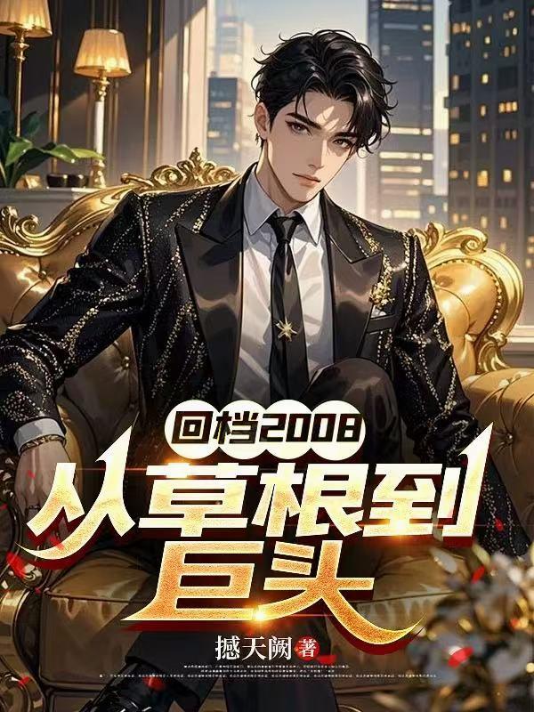 回档2008,从草根到巨头