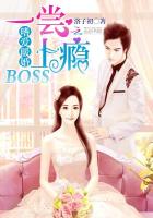 嗜爱暖婚:BOSS一尝上瘾