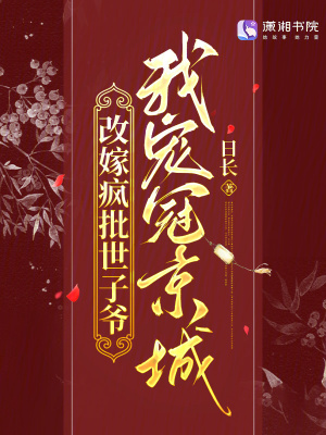改嫁疯批世子爷,我宠冠京城