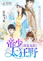 溺宠无敌:帝少太狂野