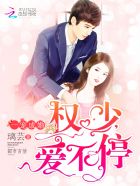 一宠成婚:权少,爱不停