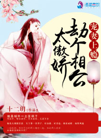 宠妻上瘾:劫个相公太傲娇