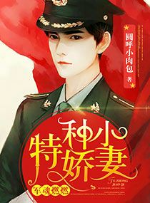 军魂燃燃:特种小娇妻