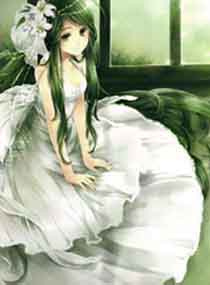 欧先生请多指教