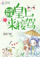 妃戏邪皇:皇上来接驾