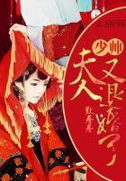 少帅,夫人又退婚了!