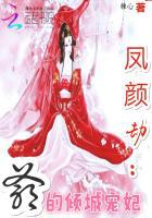 凤颜劫:爷的倾城宠妃