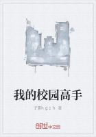 我的校园高手