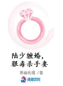 陆少缠婚,狠毒杀手妻