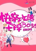 快穿攻略,干掉boss