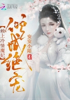 倾城绝宠:赖上冷情魔妃