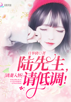 诱妻入怀:陆先生,请低调!