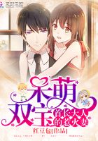 呆萌双宝:首长大人的惹火妻