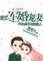 重生军婚宠妻:时光盗不走的爱人