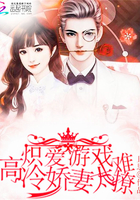 炽爱游戏:高冷娇妻太难撩