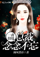 一夜情缘:总裁念念不忘